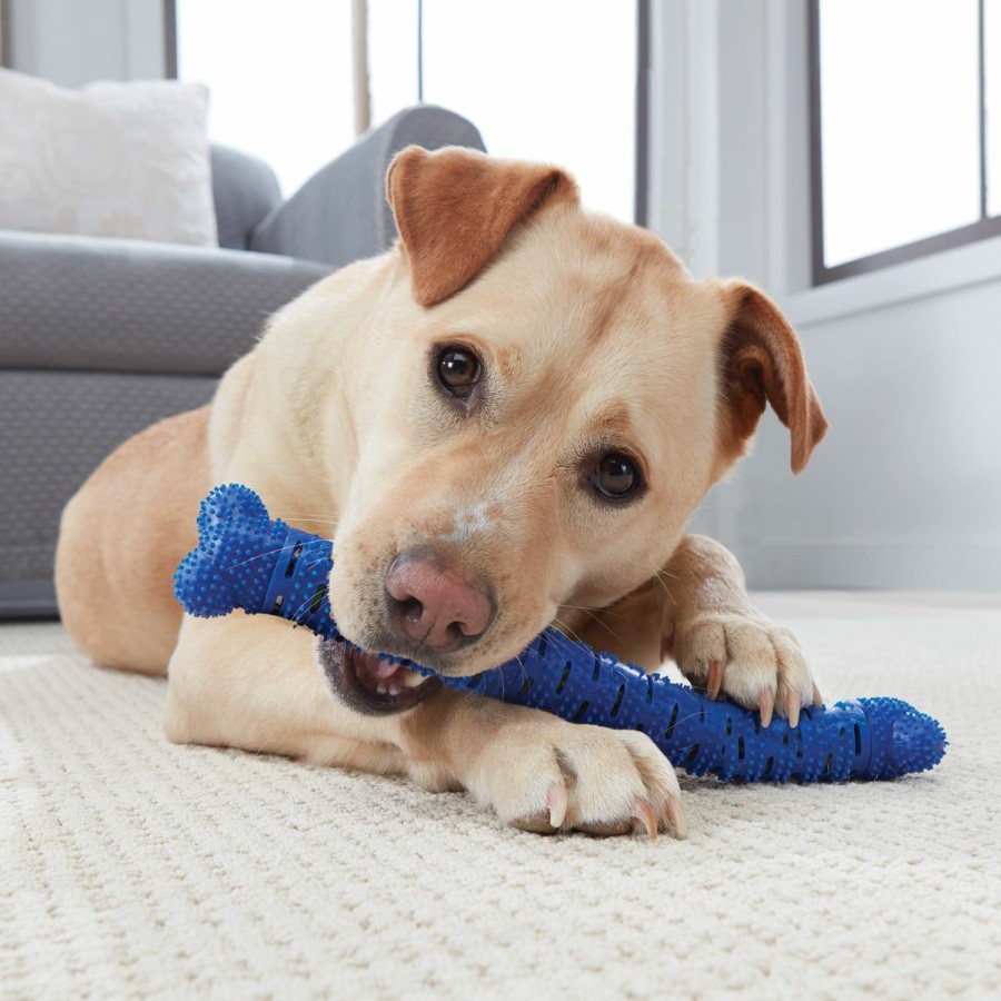 Pets JML | Chewbrush - Self-Brushing Toothbrush And Chew Toy For Dogs