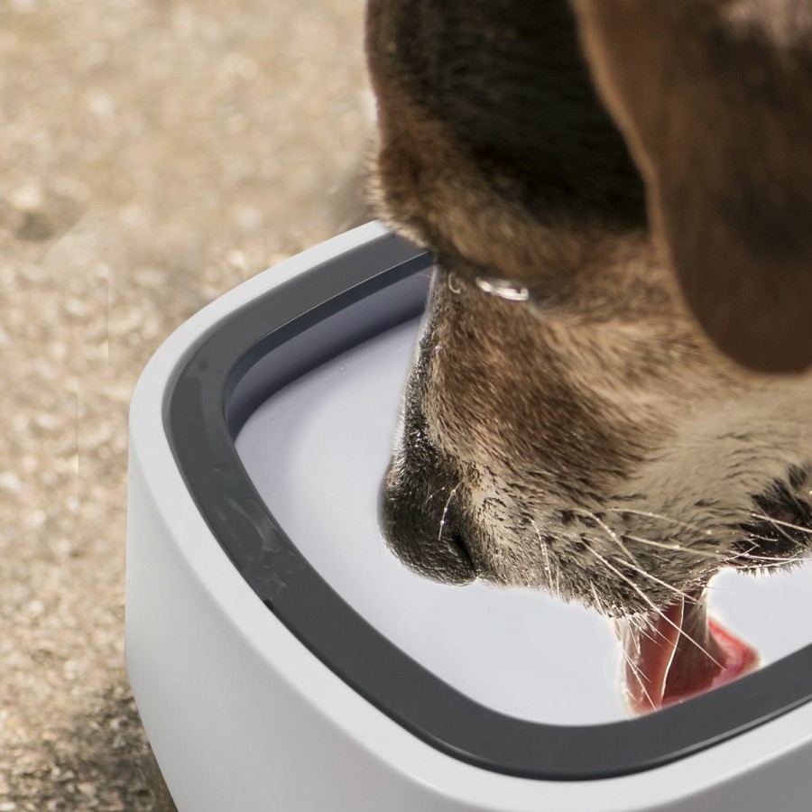 Pets JML | Magic Bowl - The Spill-Proof, Non-Slip Pet Water Bowl