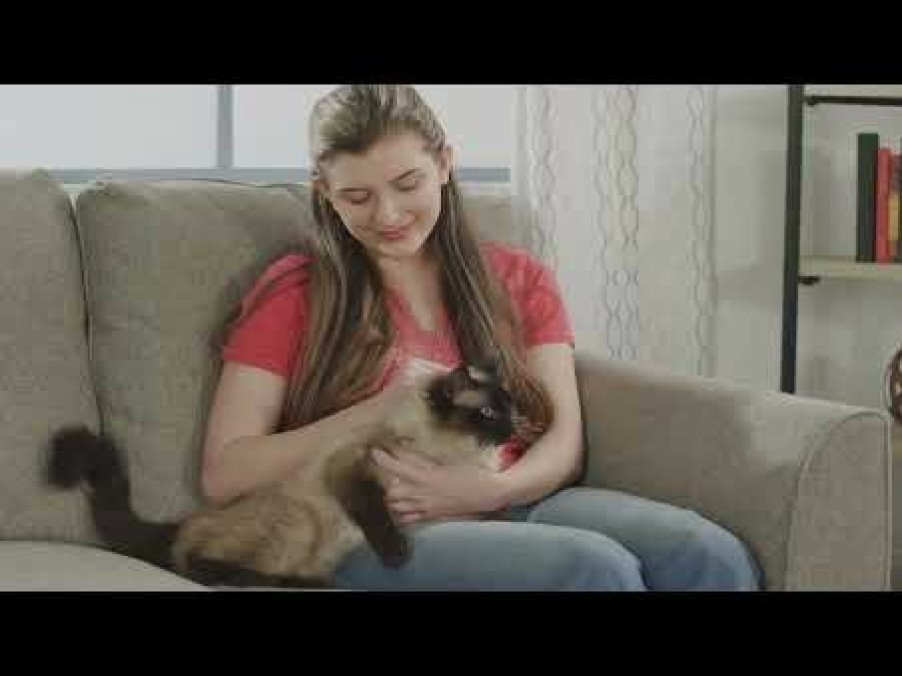 Pets JML | Huggie Kitty - The Calming Cat Toy That Combines Soothing Sounds And Welcome Warmth