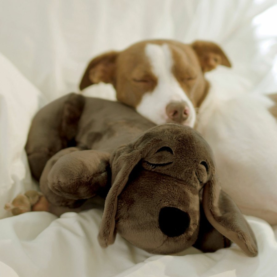 Pets JML | Huggie Pup - The Warm, Comforting Pet Companion With A Heartbeat