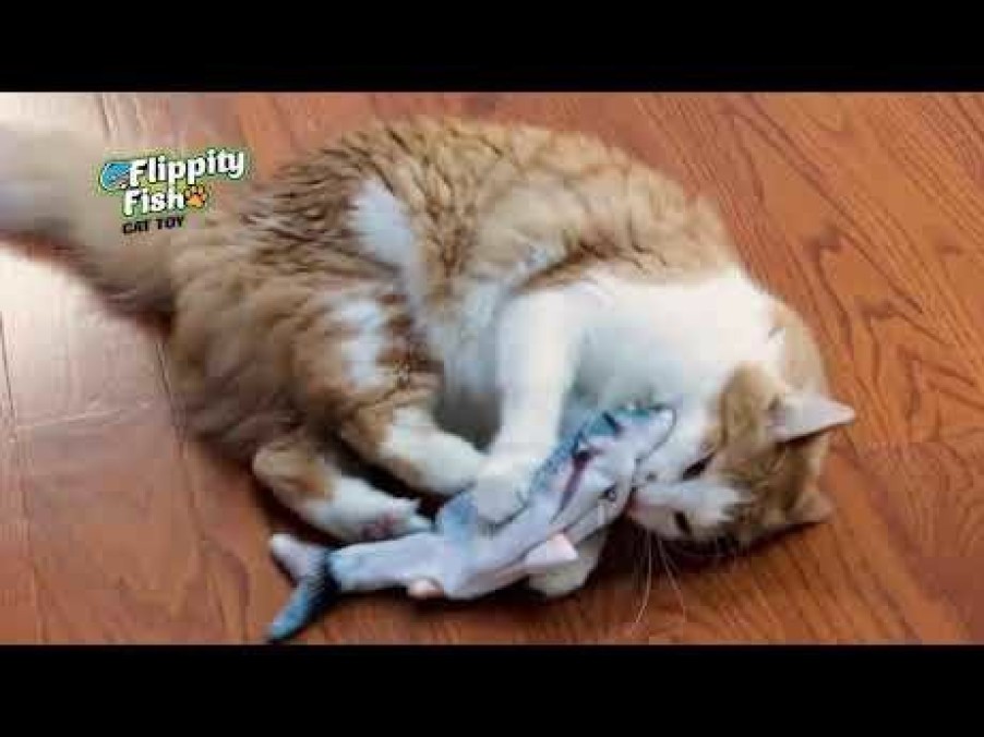 Pets JML | Flippity Fish - The Cat Toy That Flips, Flops And Wiggles Like A Real Fish!